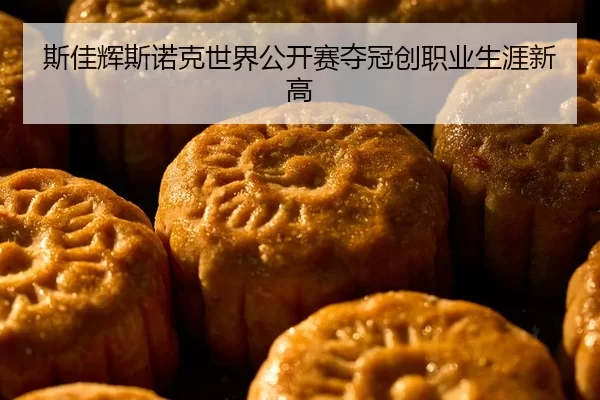 斯佳辉斯诺克世界公开赛夺冠创职业生涯新高