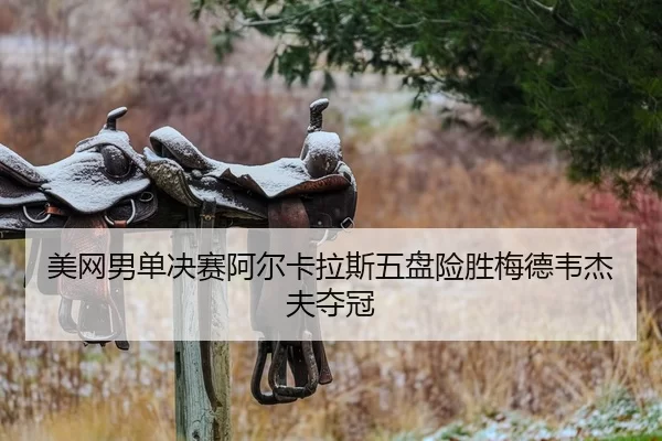 美网男单决赛阿尔卡拉斯五盘险胜梅德韦杰夫夺冠